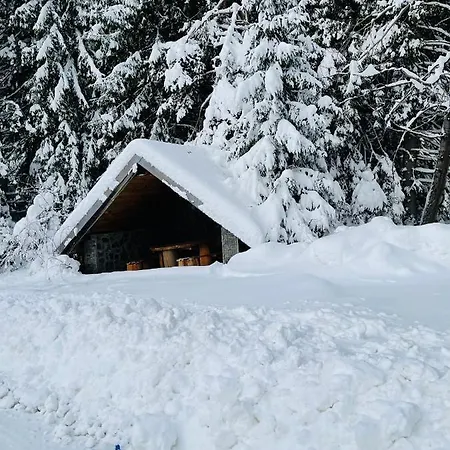 Hotel de apartamente Pine Smolyan